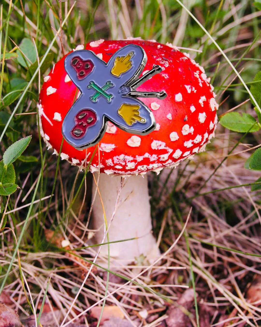 Product image 4