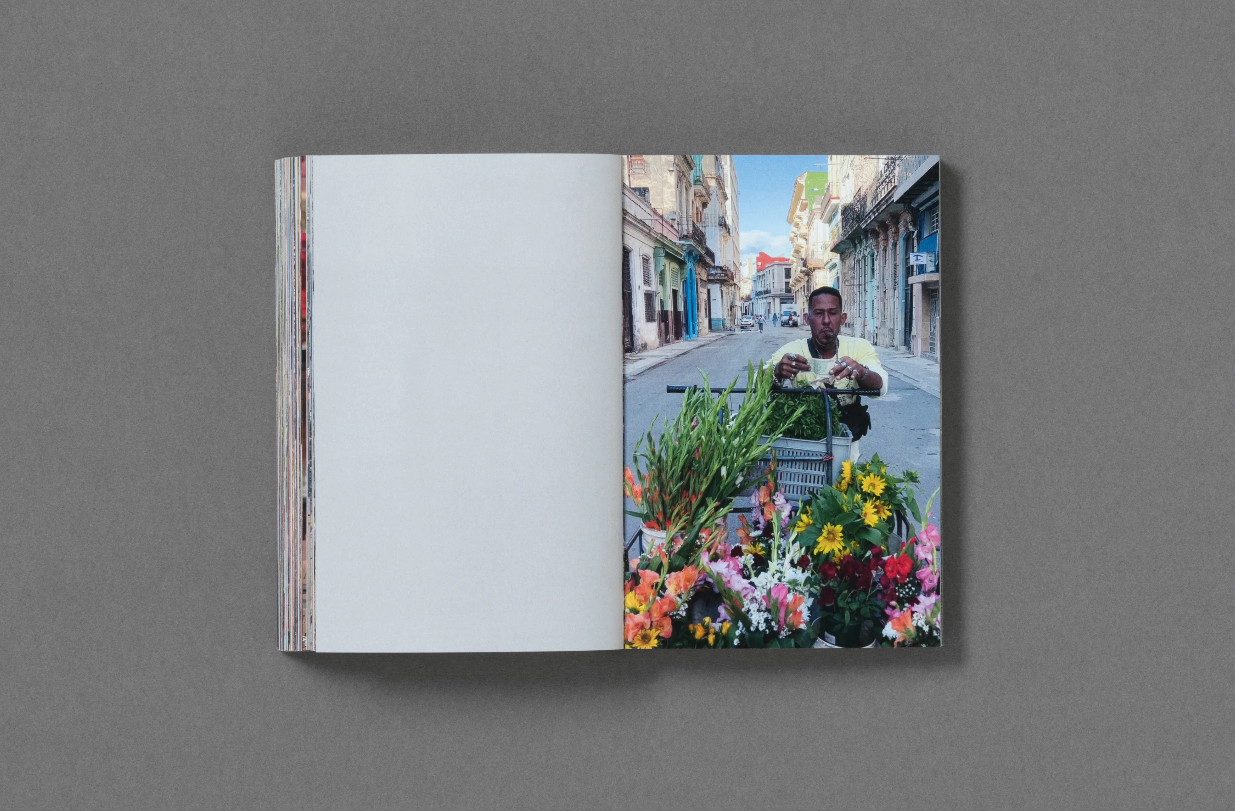 Product image 53