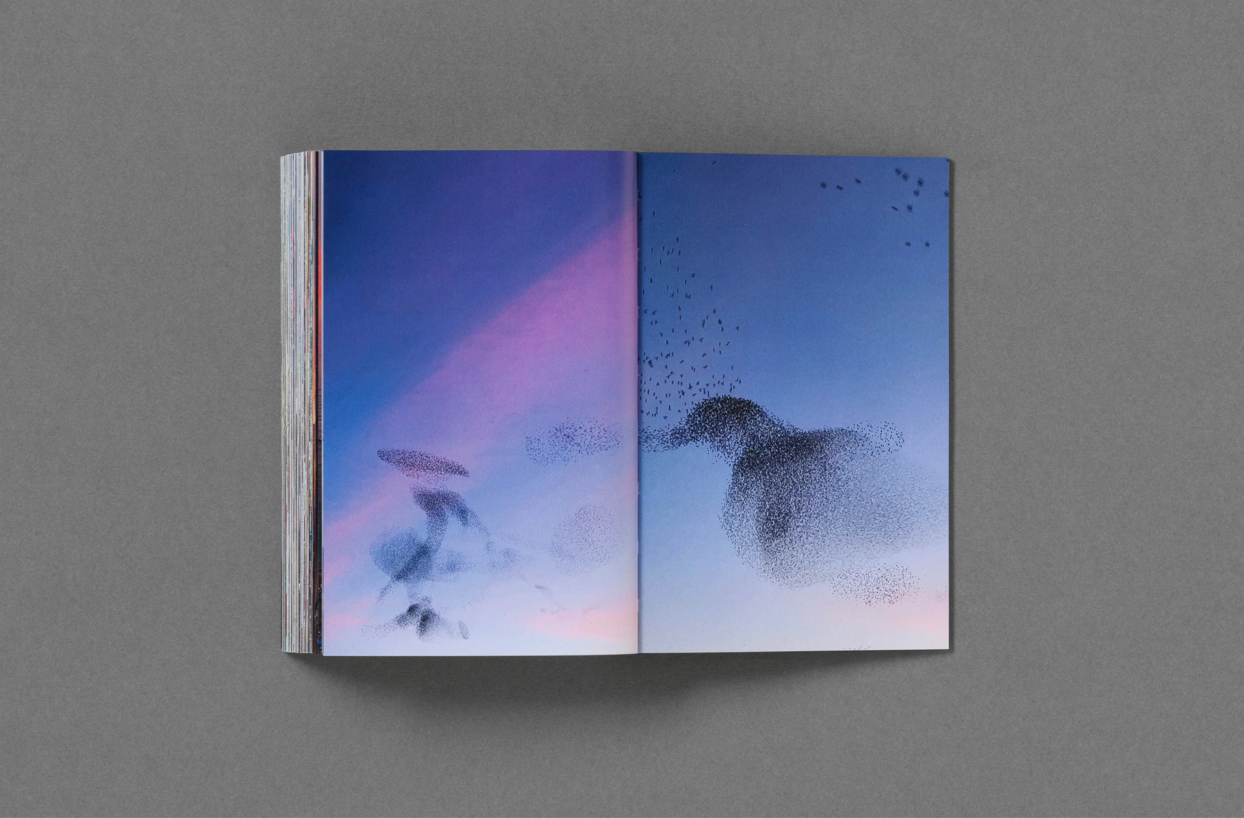 Product image 67